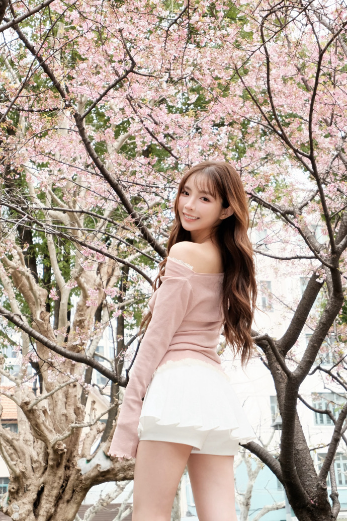 快速构建蜘蛛池的五个步骤