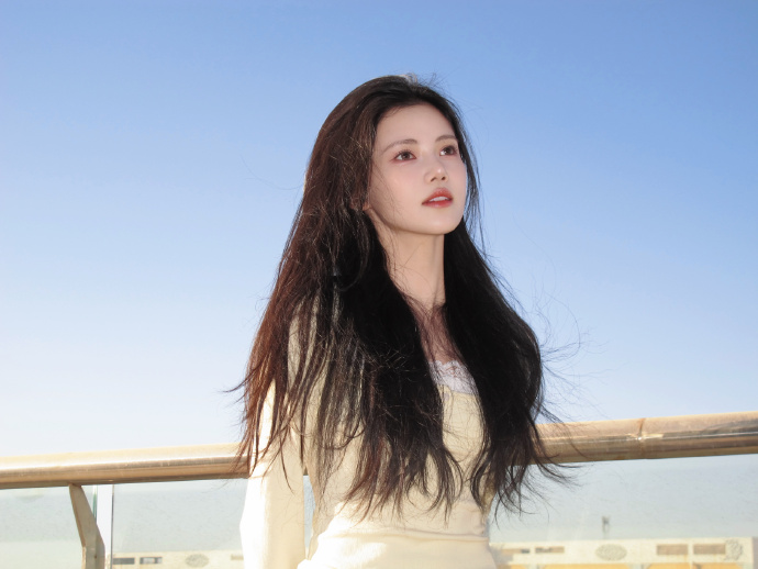 蜘蛛池对SEO黑帽技术的风险分析