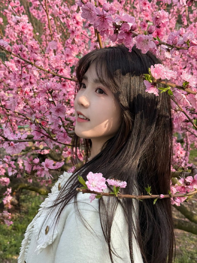 蜘蛛池的分布式架构实现方案