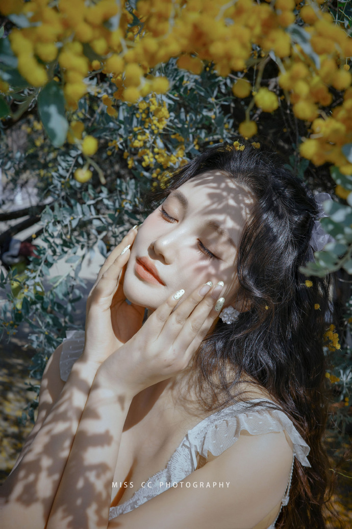 蜘蛛池的分布式架构实现方案