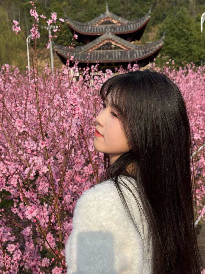 蜘蛛池是否适合用于低频词库类页面