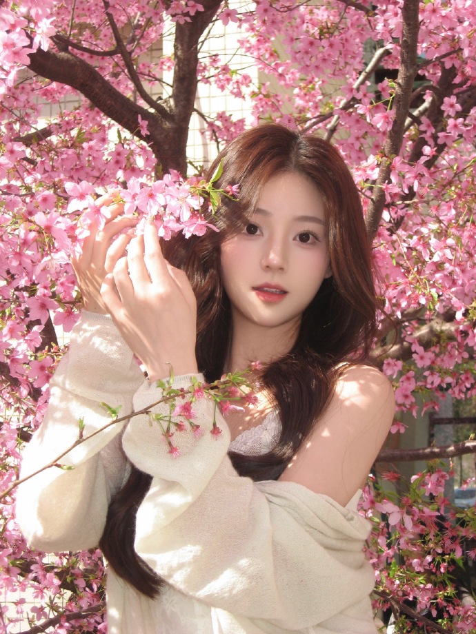 蜘蛛池和Schema结构化数据的配合