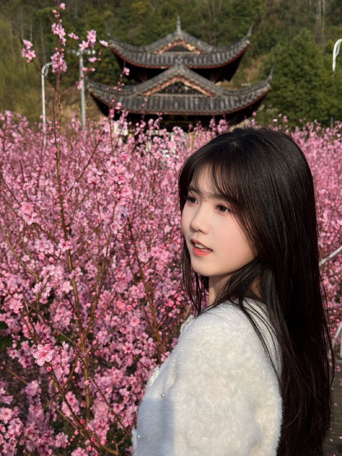 蜘蛛池与伪原创技术的协同应用