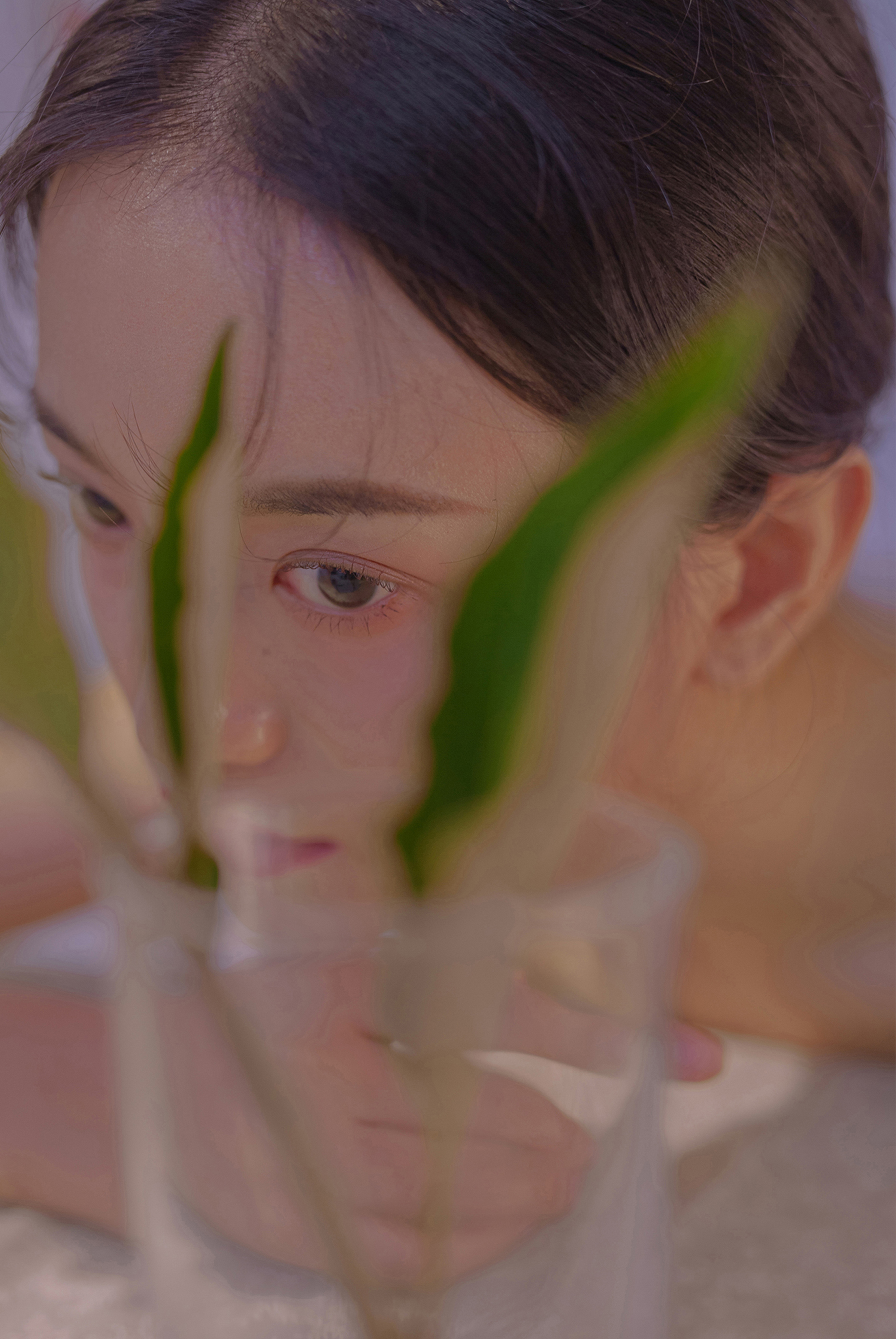 蜘蛛池对SEO黑帽技术的风险分析