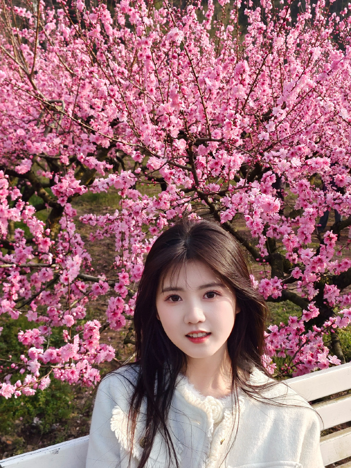 蜘蛛池的分布式架构实现方案