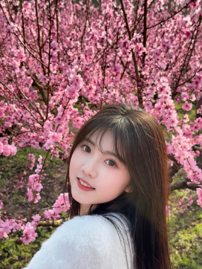 蜘蛛池能否提升长尾词页面的抓取频率