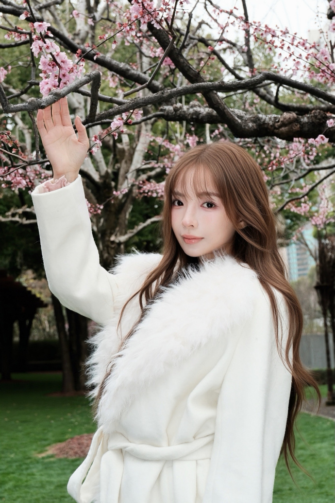 蜘蛛池在泛解析中的实战价值