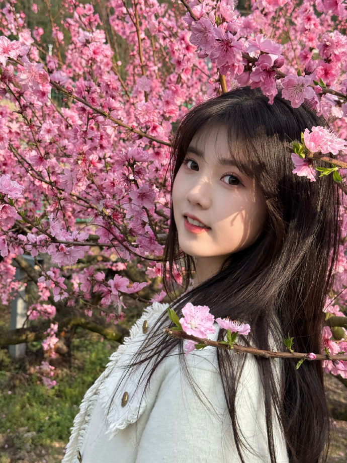 蜘蛛池访问异常的识别与响应策略