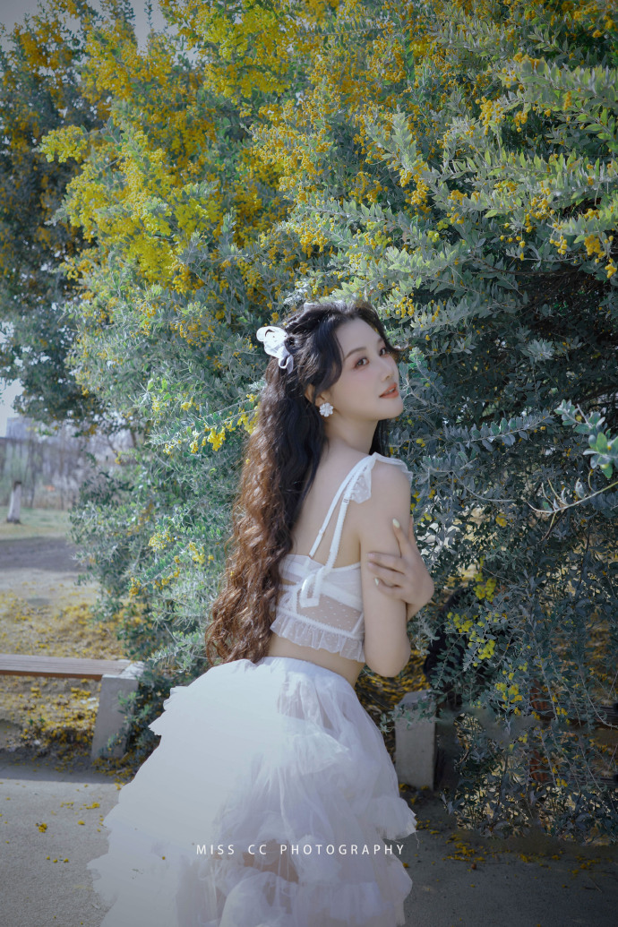 蜘蛛池访问日志的分析方法