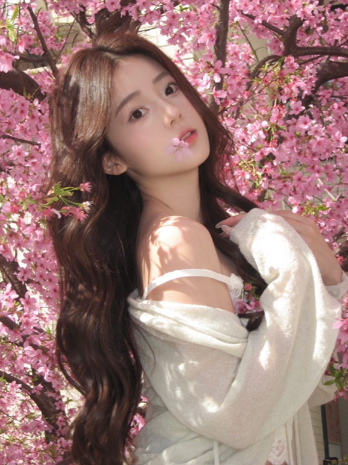 蜘蛛池对SEO黑帽技术的风险分析