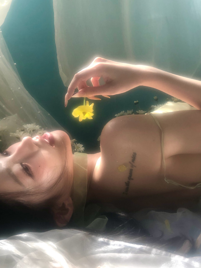 蜘蛛池的分布式架构实现方案