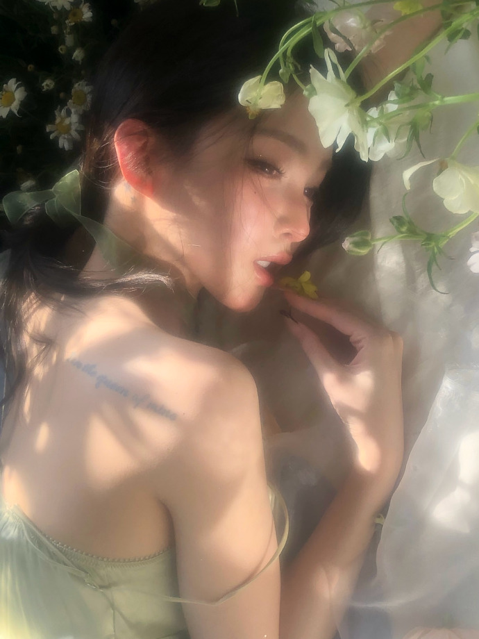 蜘蛛池能否提升收录质量？