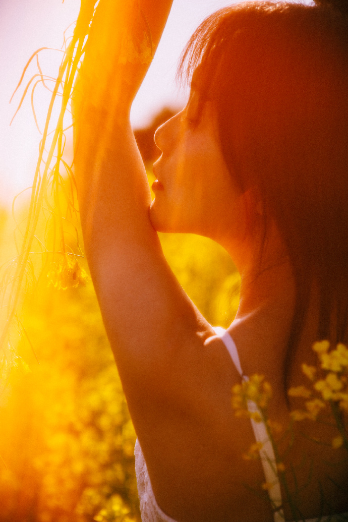 利用蜘蛛池进行微站点批量上线方案