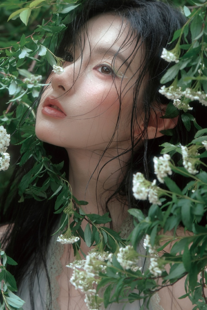 蜘蛛池访问日志的深度分析