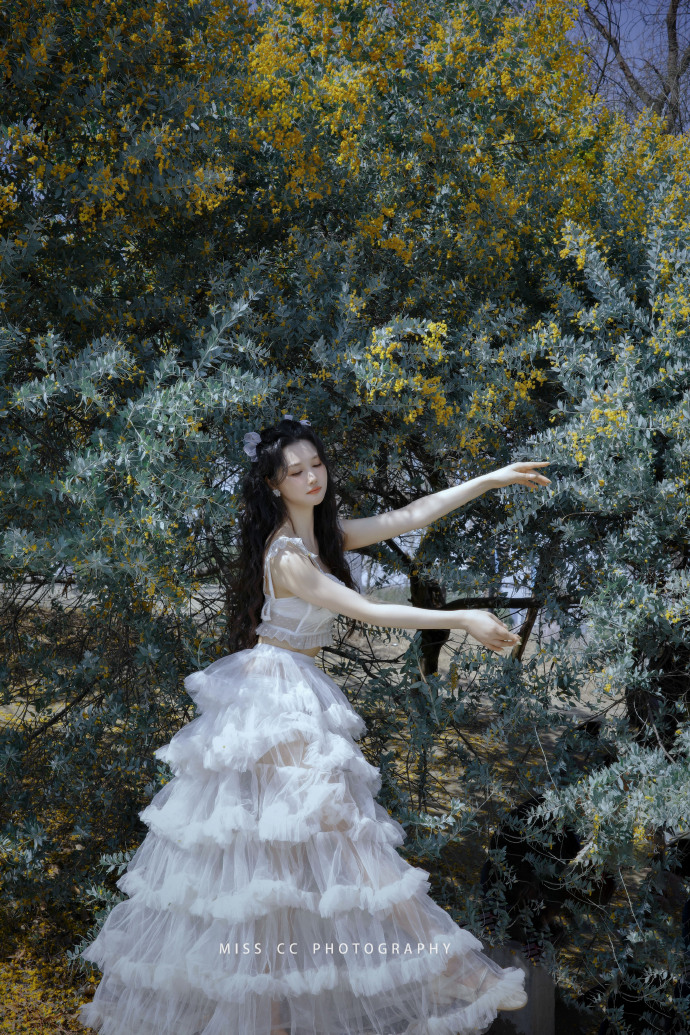 蜘蛛池能否提升长尾词页面的抓取频率